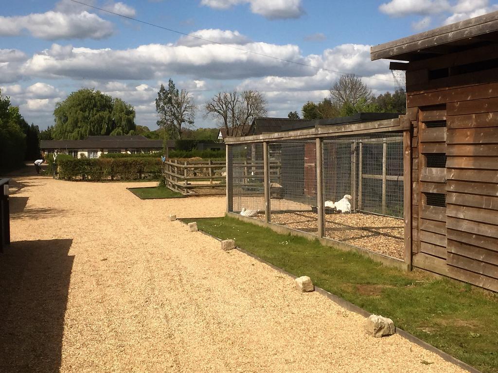 Willow Court Farm Studio South & Petting Farm, 8 Mins From Legoland & Windsor, 15 Mins From Lapland Uk Ngoại thất bức ảnh