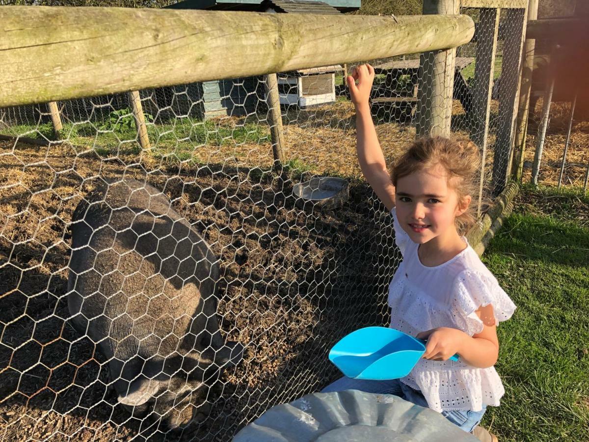Willow Court Farm Studio South & Petting Farm, 8 Mins From Legoland & Windsor, 15 Mins From Lapland Uk Ngoại thất bức ảnh