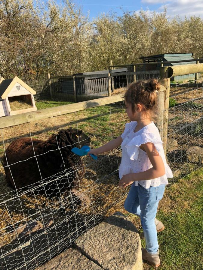 Willow Court Farm Studio South & Petting Farm, 8 Mins From Legoland & Windsor, 15 Mins From Lapland Uk Ngoại thất bức ảnh