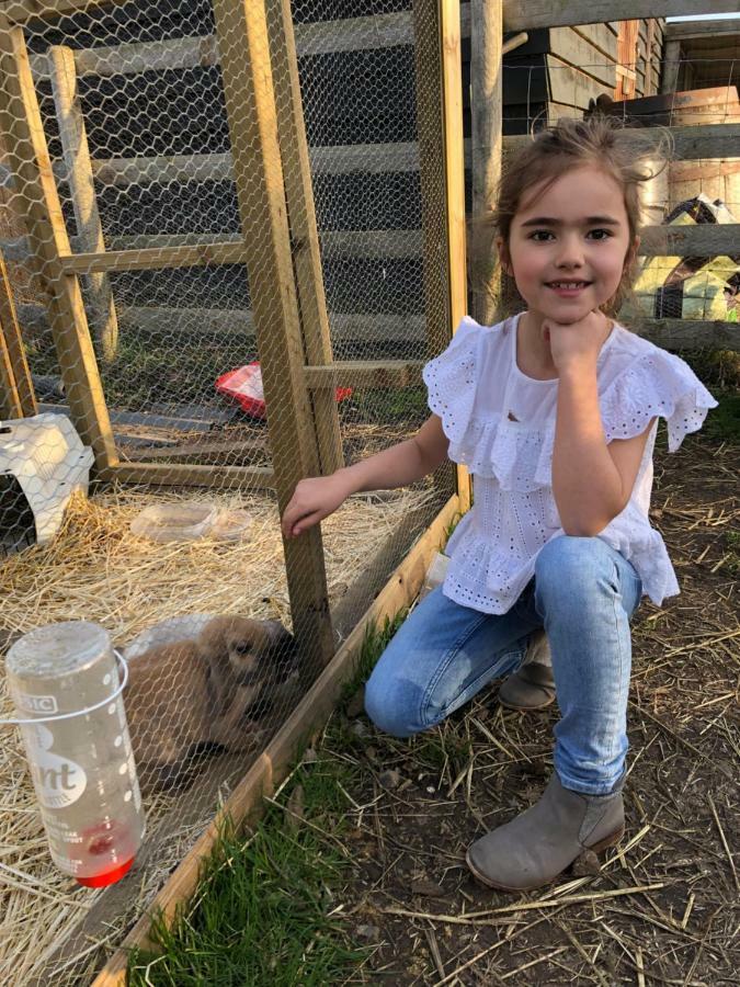 Willow Court Farm Studio South & Petting Farm, 8 Mins From Legoland & Windsor, 15 Mins From Lapland Uk Ngoại thất bức ảnh