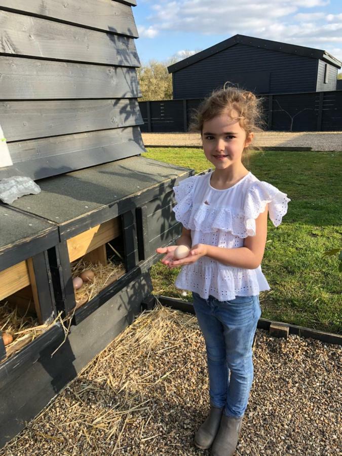 Willow Court Farm Studio South & Petting Farm, 8 Mins From Legoland & Windsor, 15 Mins From Lapland Uk Ngoại thất bức ảnh