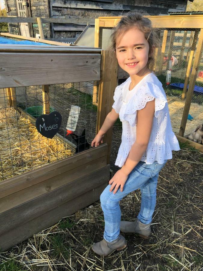 Willow Court Farm Studio South & Petting Farm, 8 Mins From Legoland & Windsor, 15 Mins From Lapland Uk Ngoại thất bức ảnh