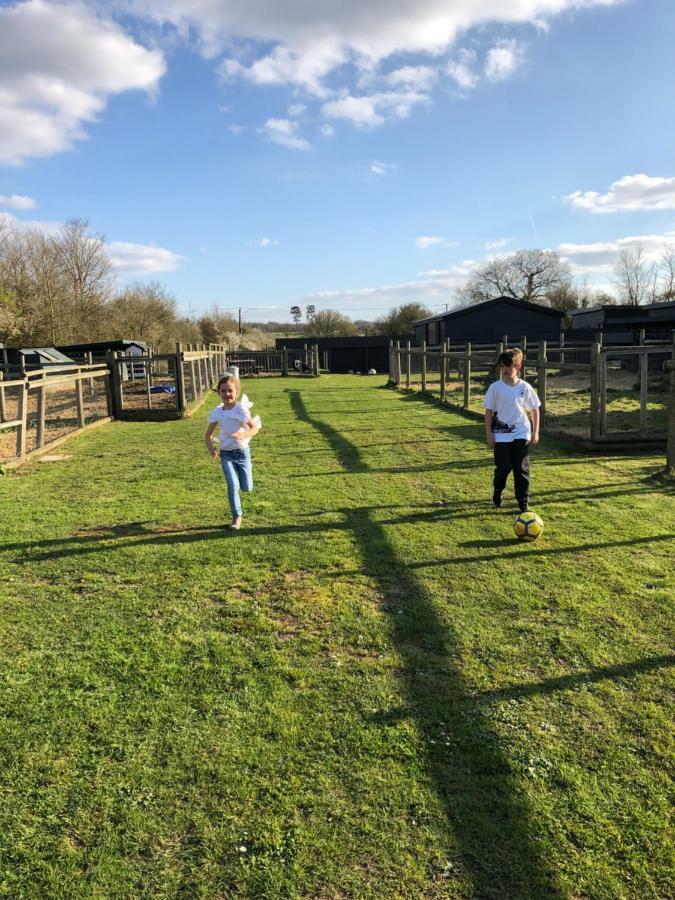 Willow Court Farm Studio South & Petting Farm, 8 Mins From Legoland & Windsor, 15 Mins From Lapland Uk Ngoại thất bức ảnh
